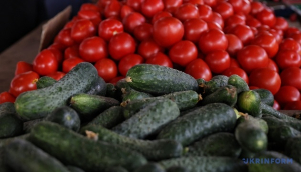 Імпорт помідорів та огірків в Україну цьогоріч зріс
