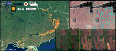 Діра у світовій статистиці на 8 млн т. NASA Harvest оцінила врожай на окупованих українських територіях /Фото 2