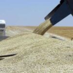Росія привласнила понад 1 700 тонн українського зерна та агропродукції