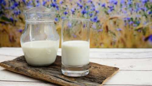 Понад 50 українських виробників експортують молочну продукцію до ЄС