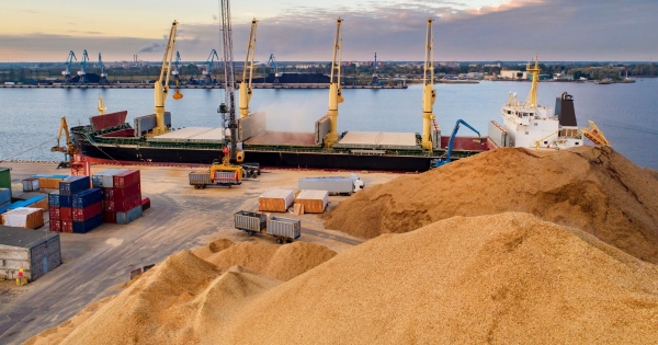 Верховна Рада підтримала боротьбу з «чорним» експортом зерна