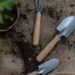Як приготувати родючу ґрунтову суміш для посадки томатів…