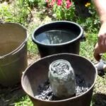 Розводьте золу правильно! Тоді врожай буде більше і…