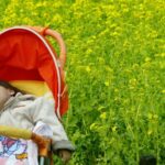 «Вплине на економічне зростання і процвітання». Народжуваність у…