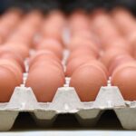 ЄС може повернути мита на українські яйця і…