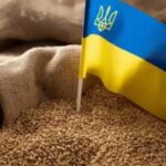 Україна збільшила цьогоріч експорт зерна до 7 мільйонів тонн на…