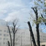Бізнес виділяє гроші на відновлення «Охматдиту»
