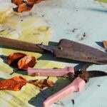 Дачні справи, які потрібно встигнути зробити до вересня