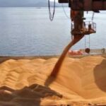 Україна експортувала понад 67 мільйонів тонн агропродукції у…