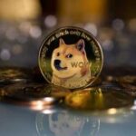 Ціна на мем-криптовалюту Dogecoin зросла майже на 20%