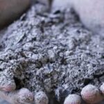 Як зробити калійну підгодівлю для смородини, томатів і огірків, щоб…