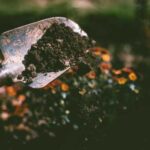 Дії на дачі, які не варто робити в розпал дачного…