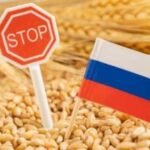 Кремль ручним керуванням намагається стимулювати недостатній експорт зерна – розвідка