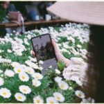 У чохлі чи кишені: влітку врятуєте смартфон від перегріву тільки…