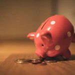 Фінансова подушка, що це таке і її значущість в сімейних…