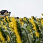 Із початку нового сезону Україна вже експортувала близько 5 мільйонів…