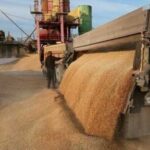 Скільки агропродукції експортувала Україна за перші півроку – дані –…