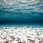 Перевернутий світ під водою: На морському…
