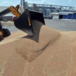 Україна у новому сезоні експортувала вже понад 3 мільйони тонн…
