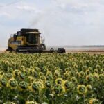 В Україні ціни на соняшник та олію перевищують світові через…
