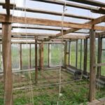 Як отримати багатий урожай без теплиць:…