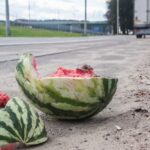 Як перевірити кавун на нітрати: лабораторія…