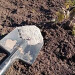 Чому можна не перекопувати город повністю:…