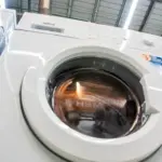 Як звичайний перець допоможе відновити колір…