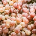 Простий трюк збільшить урожай винограду вдвічі:…