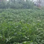 Забудьте старі методи: 15 сучасних способів…