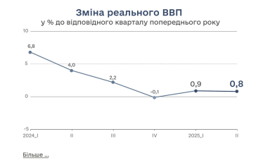 Зростання реального ВВП України у другому кварталі сповільнилося до 0,8% – Державна служба статистики / Фото 1
