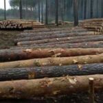 Кабмін ввів тимчасову заборону на вивіз…