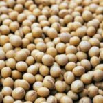 Зернова спілка звітує про найвищий збір…