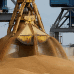 Експорт російської пшениці падає через падіння…