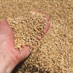 Україна вже вивезла 10 мільйонів тонн…