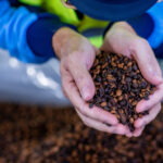 Світові кавові котирування впали в п’ятницю…