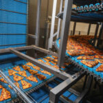 Не просто туризм: Чи може Закарпаття…