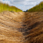 Жовтневий стрибок українського експорту льону на…