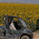 Україна збере на 2 млн тонн…