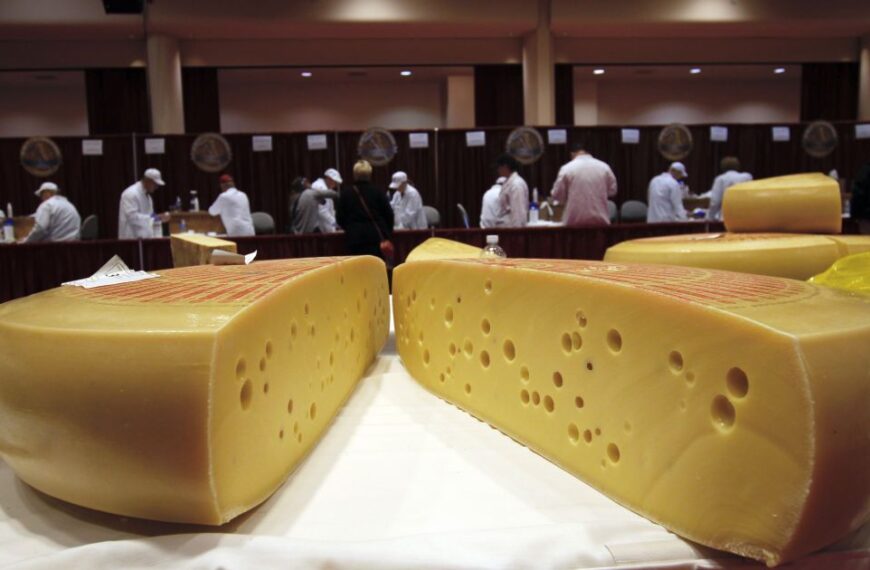 Збільшення імпорту сиру в Україну: наслідки для вартості