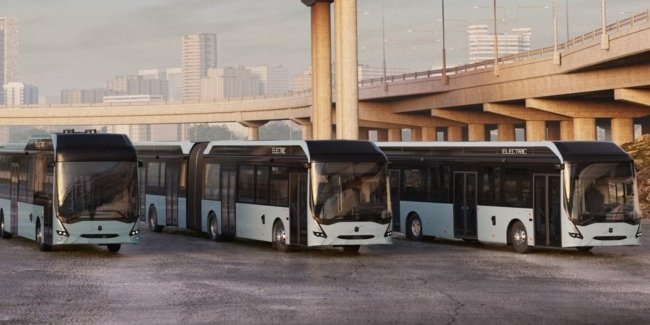 Четвірка країн ЄС володіє половиною автобусного автопарку.