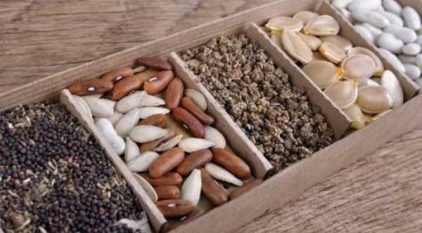 Державний центр сертифікації агропродукції збільшує спектр послуг.