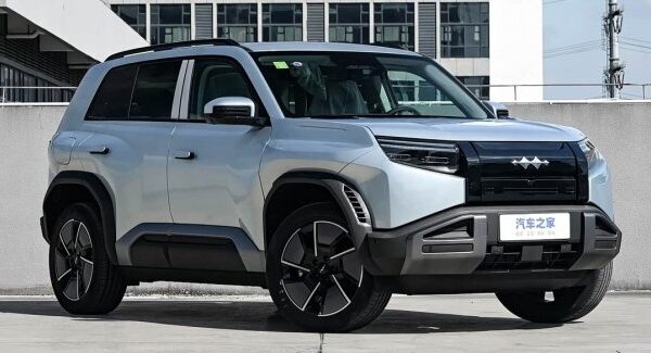 Українці жваво скуповують автівки з Китаю.