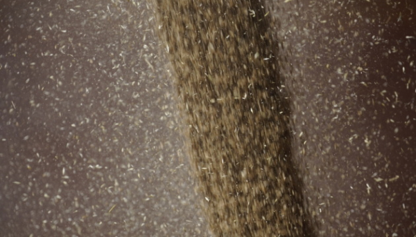 В січні Україна вивезла 5 мільйонів тонн сільгосппродукції.