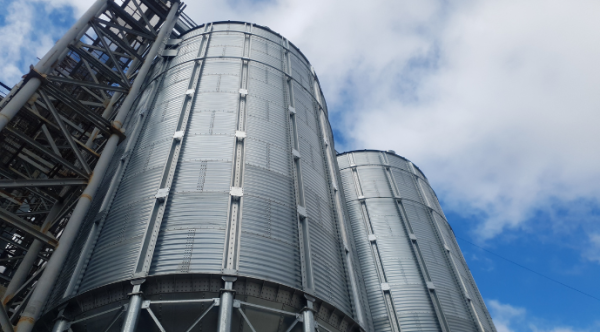 Західний Буг вмістив 320 тисяч тонн збіжжя на зберігання.