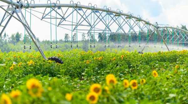 HarvEast розширює площі зрошення на Київщині на 2 тисячі гектарів.