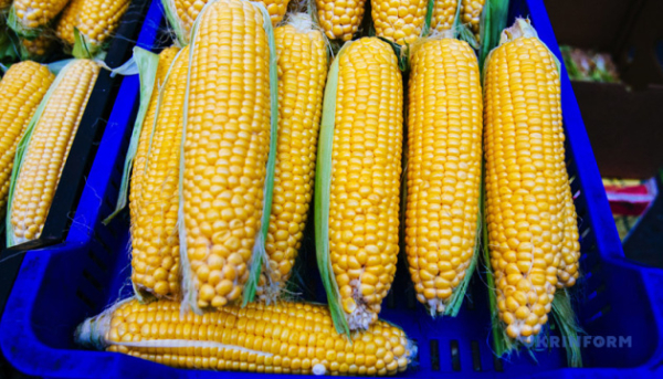 В лютому Україна вивезла 5 мільйонів тонн сільгосппродукції