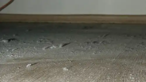 Чому в оселі постійно порох, попри щоденне прибирання?