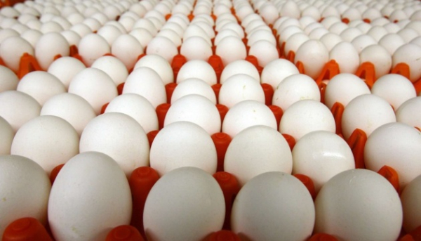 Зменшення українського експорту яєць у лютому