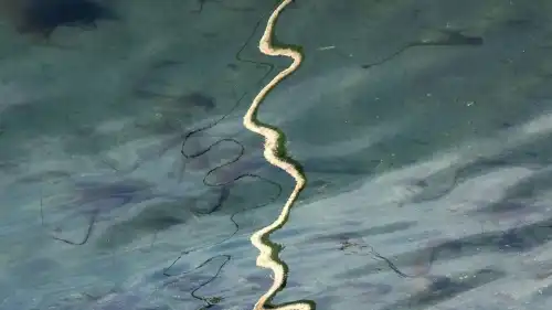 Фізики досягли прориву. Рідини здатні розколюватися подібно до твердих матеріалів.